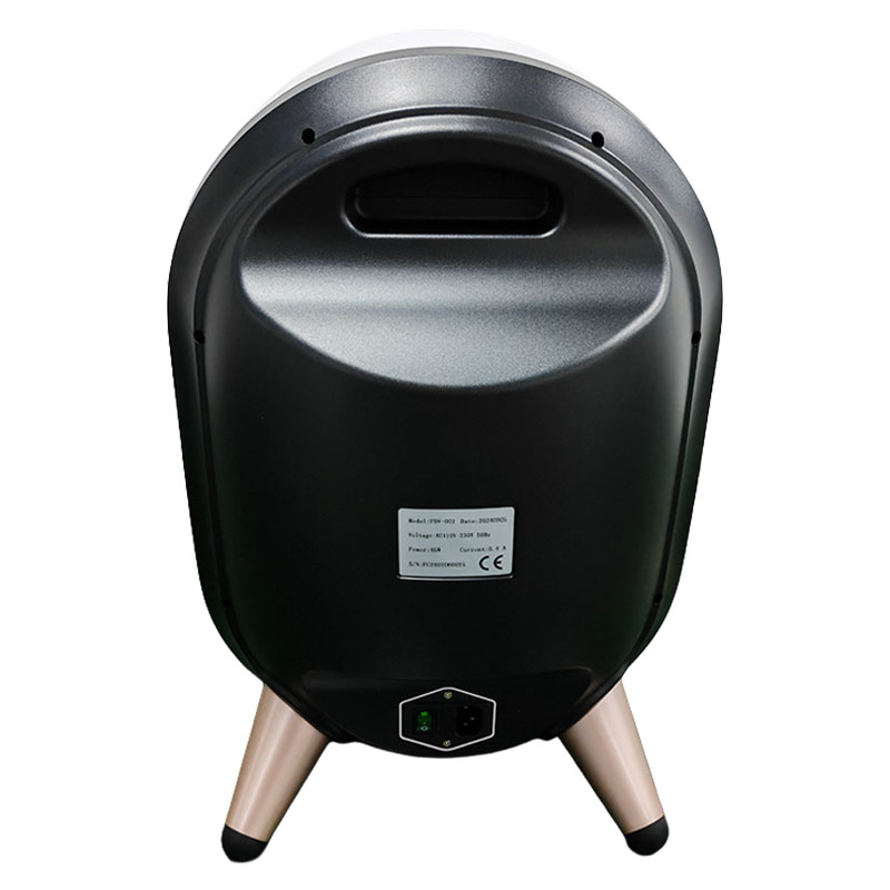 Fotromed magic mirror skin analyzer back