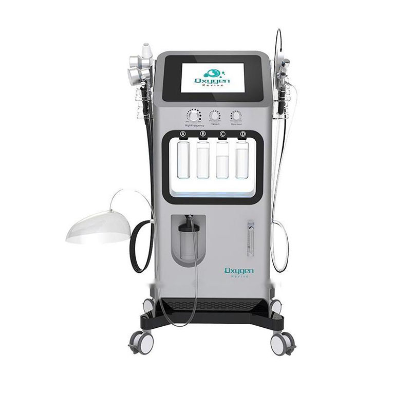 Oxygen revive oxygen facial machine for sale 0006 Macchina per il viso con ossigeno rivitalizzante in vendita (2)