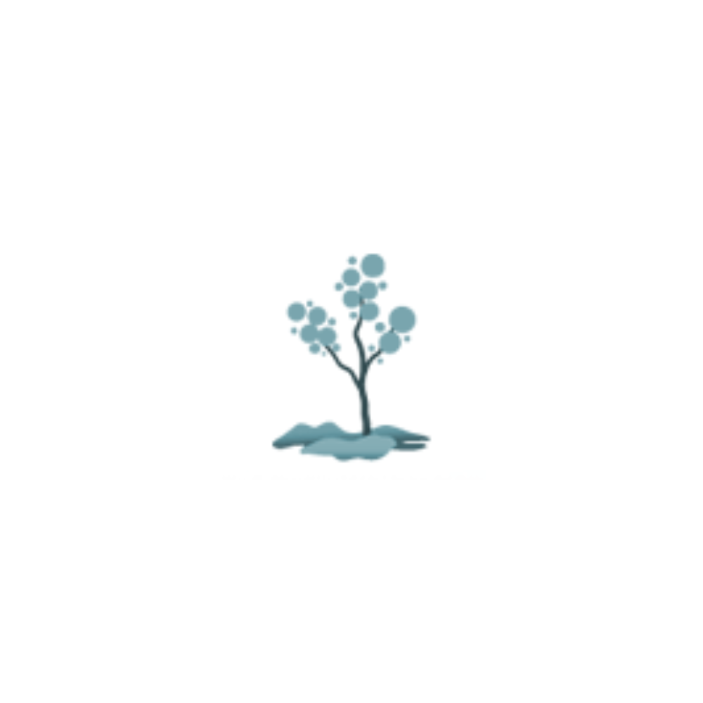 Evonda Timbers Massage Therapy